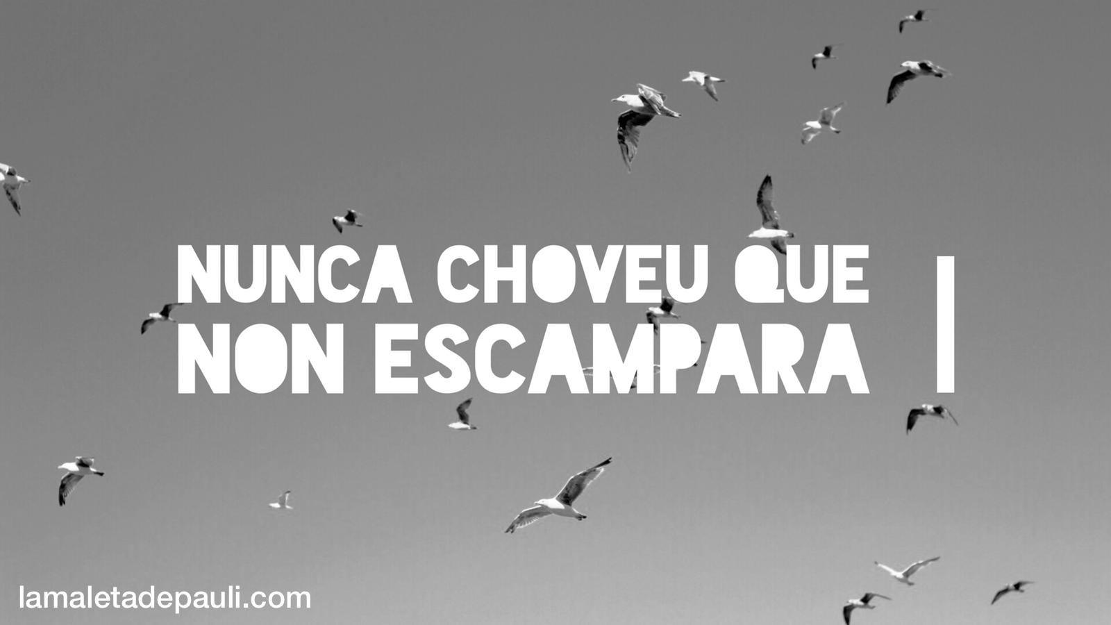 PHOTO-2019-03-03-14-42-58