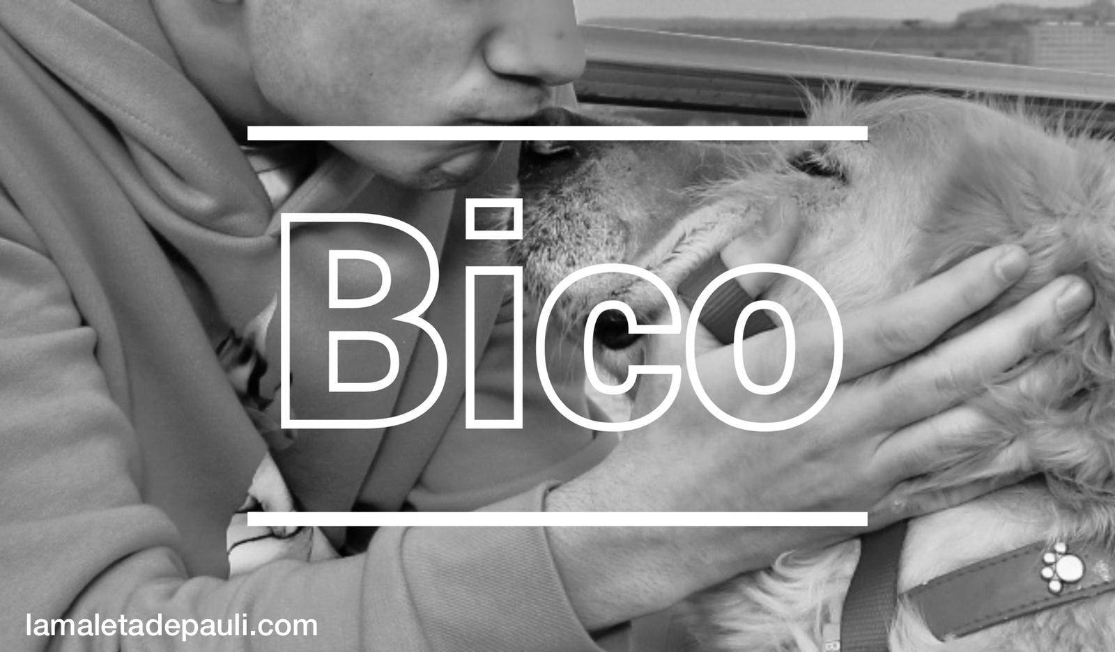 PHOTO-2019-03-03-14-43-02 2