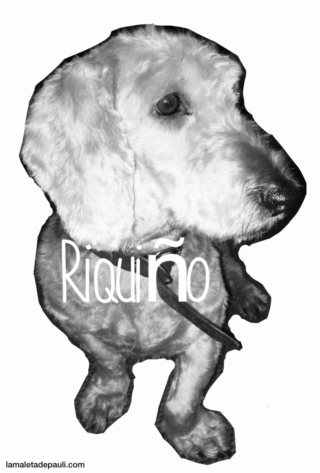 PHOTO-2019-03-03-14-43-05