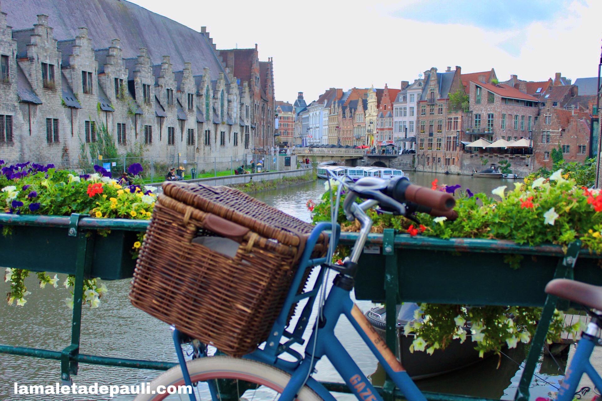 D5FAB048-5221-4241-89DA-12526D4CFF49