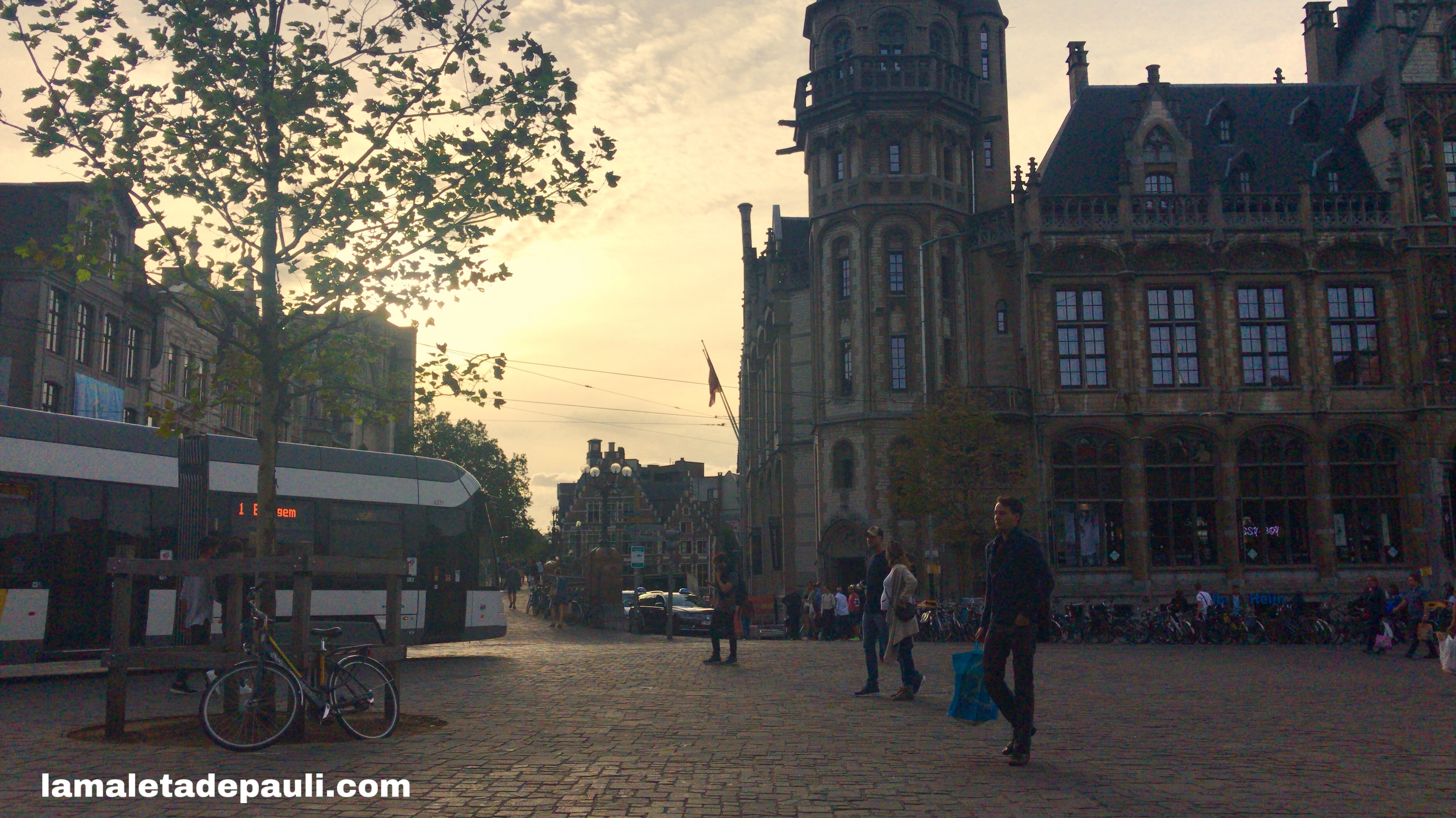 DDA87273-D1F8-4FF7-950F-2FE4AC279B90