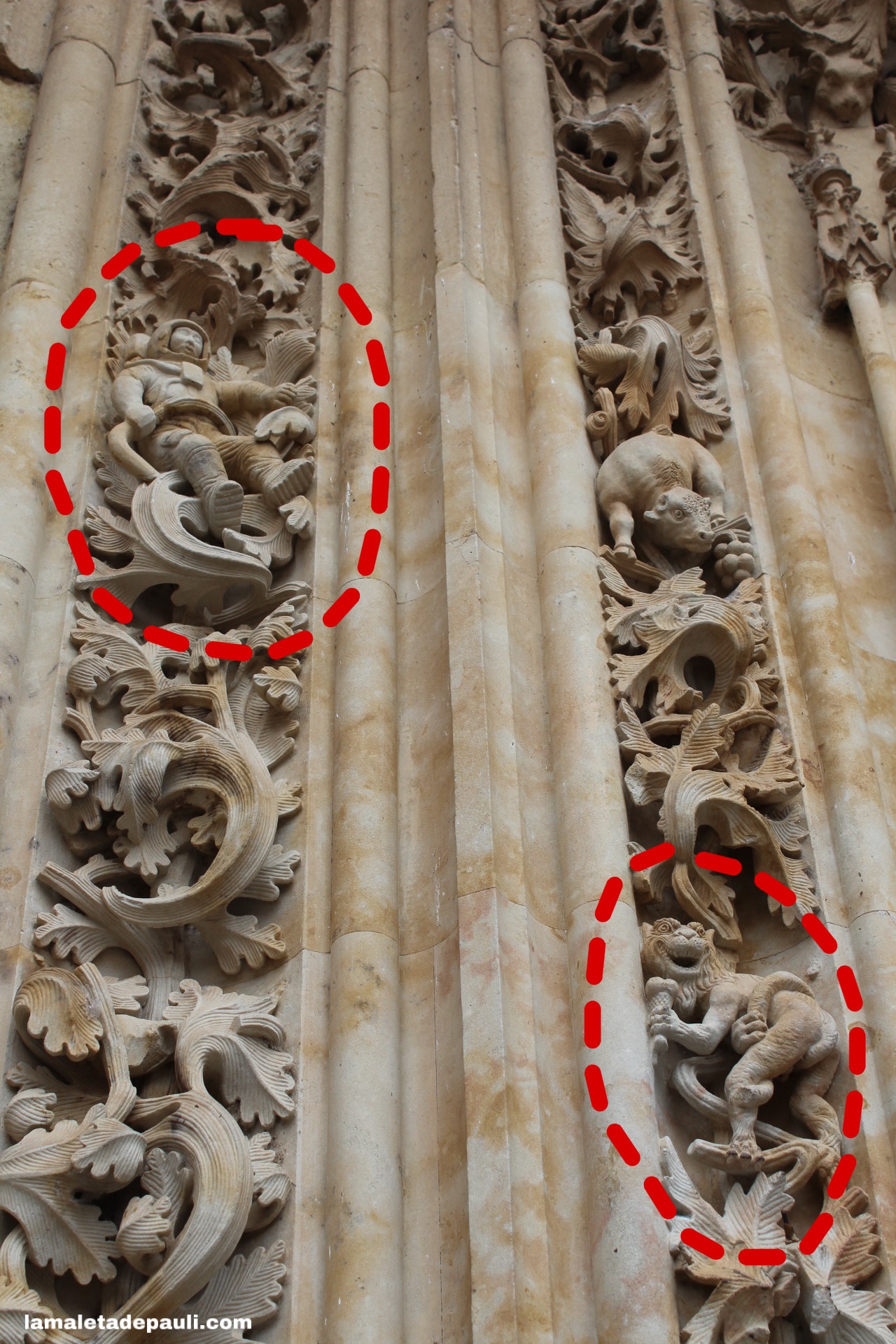 A66D2235-612F-451C-9A59-D5D9B576F26D