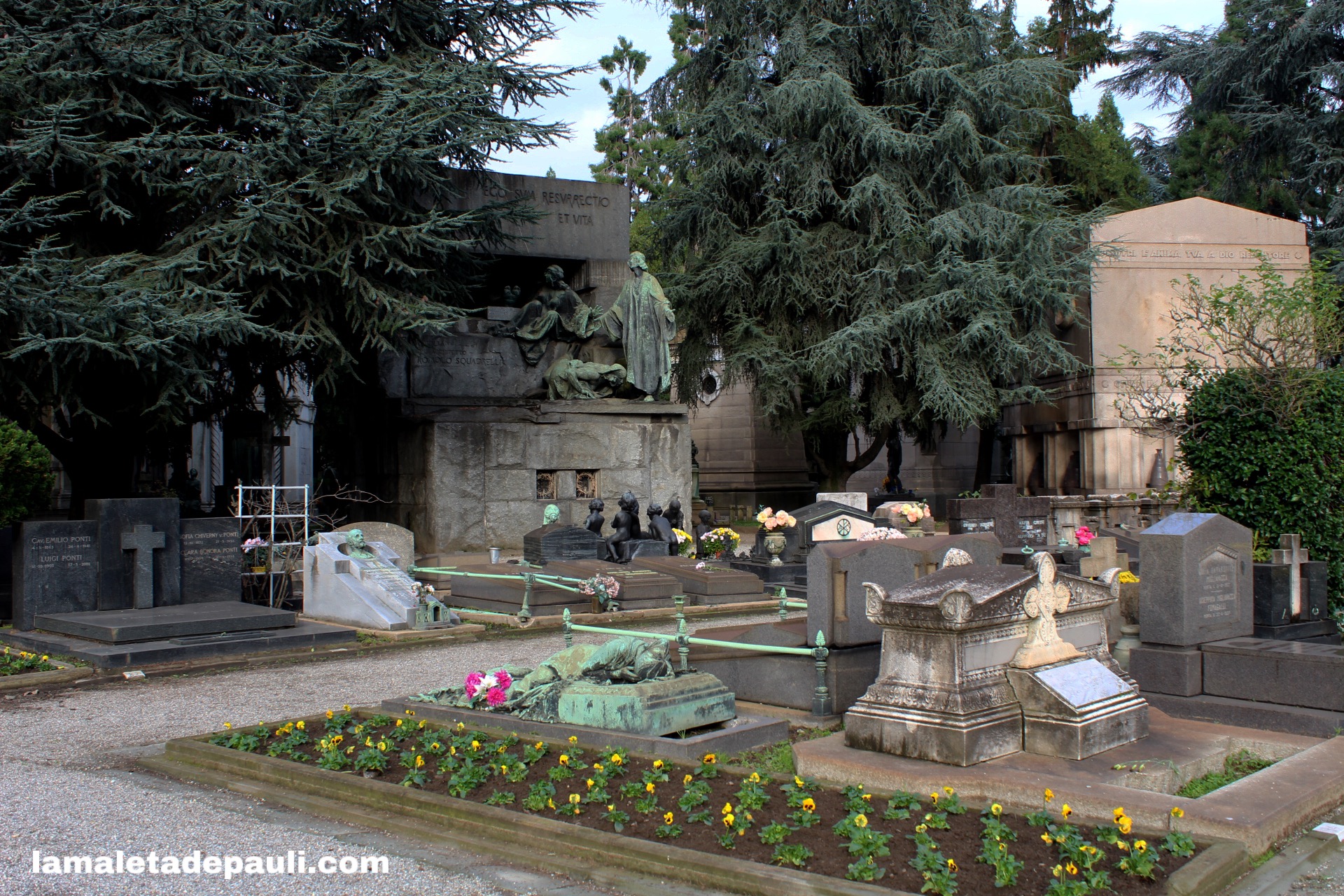 7C385C0E-6A9D-4C4A-A10C-0AC986C138A3