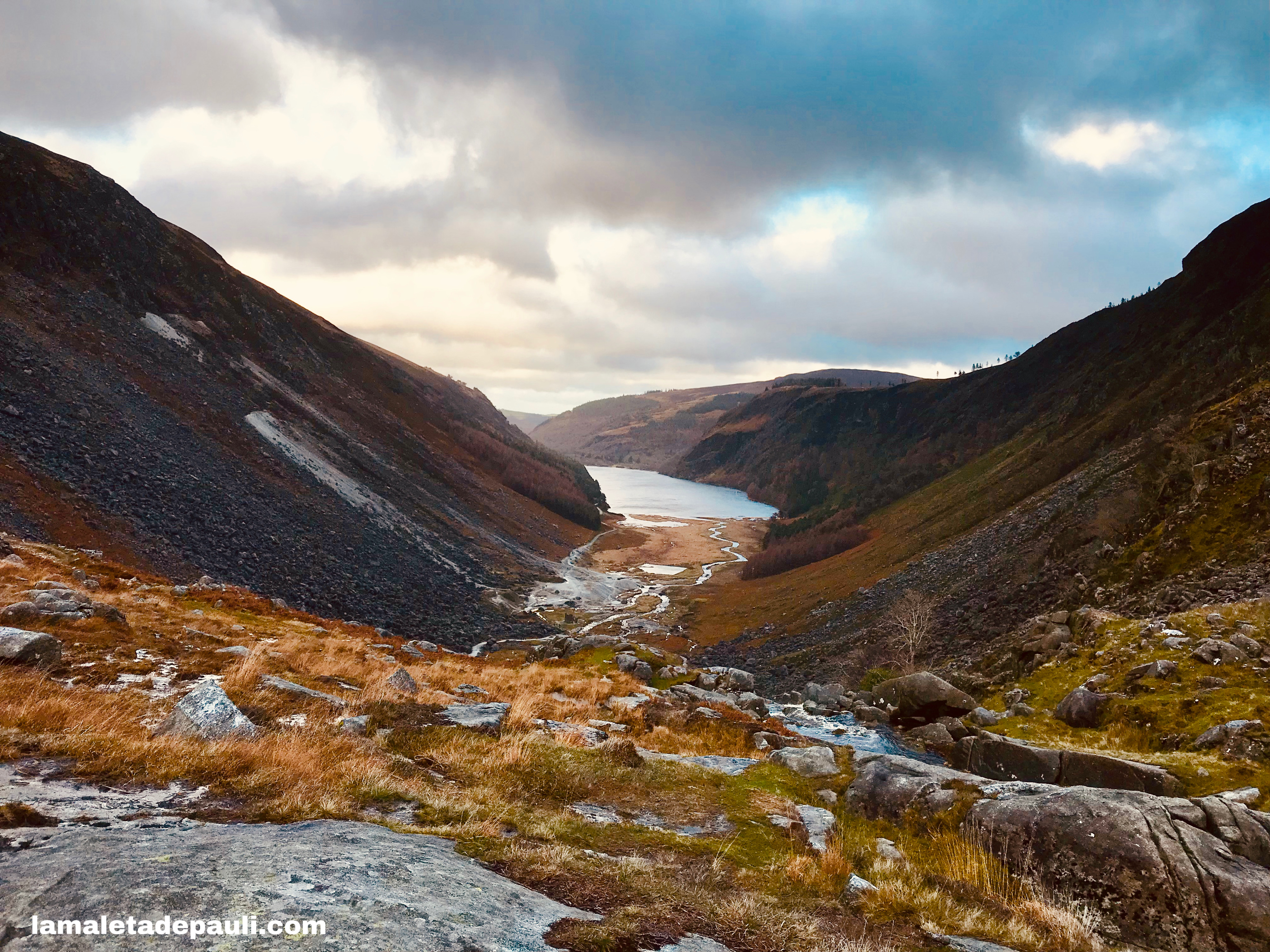 10E6A122-6C70-4B44-9FD6-D144A43A5267