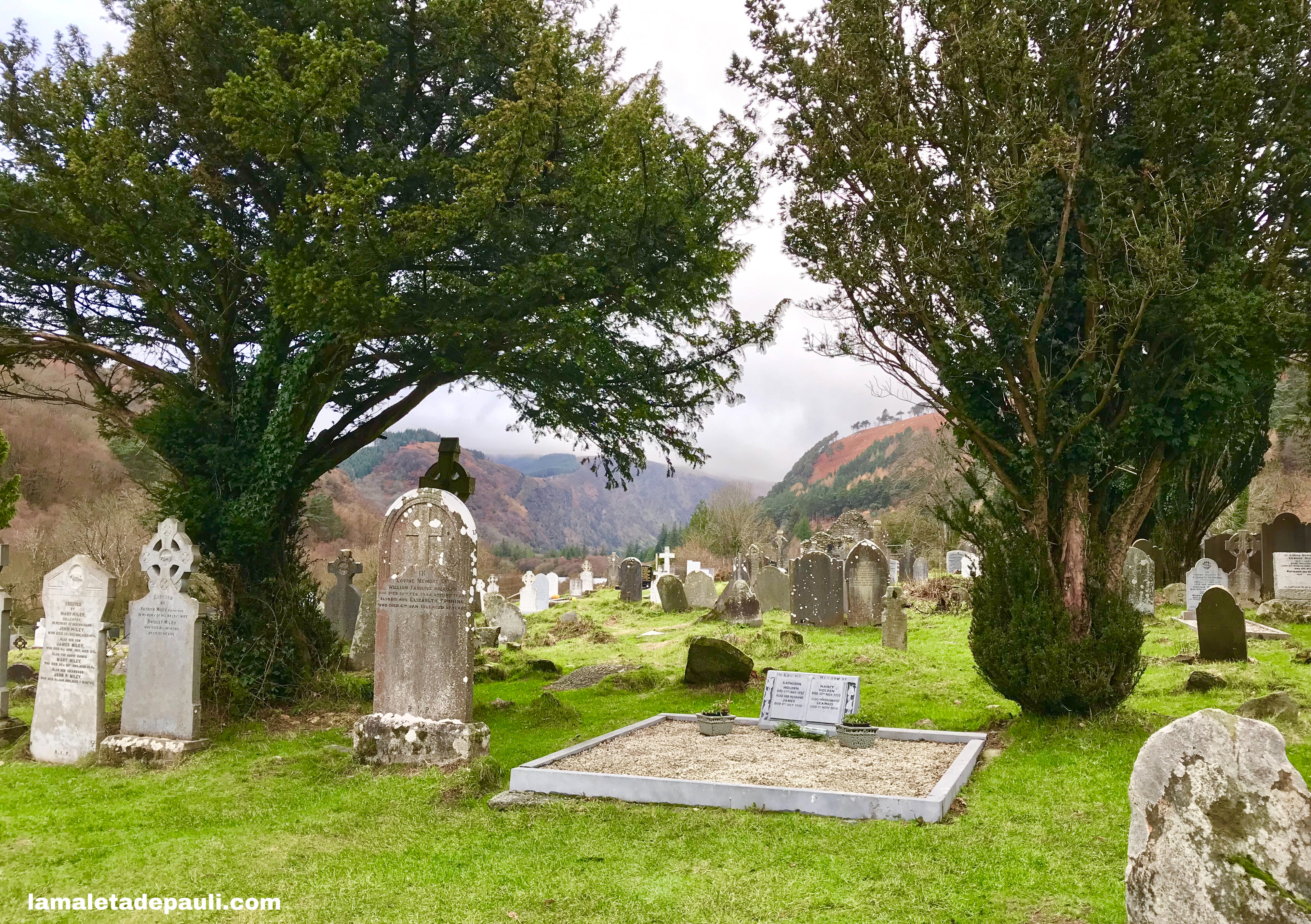 9CC25368-7210-4817-9BB0-5F55AC1243D4