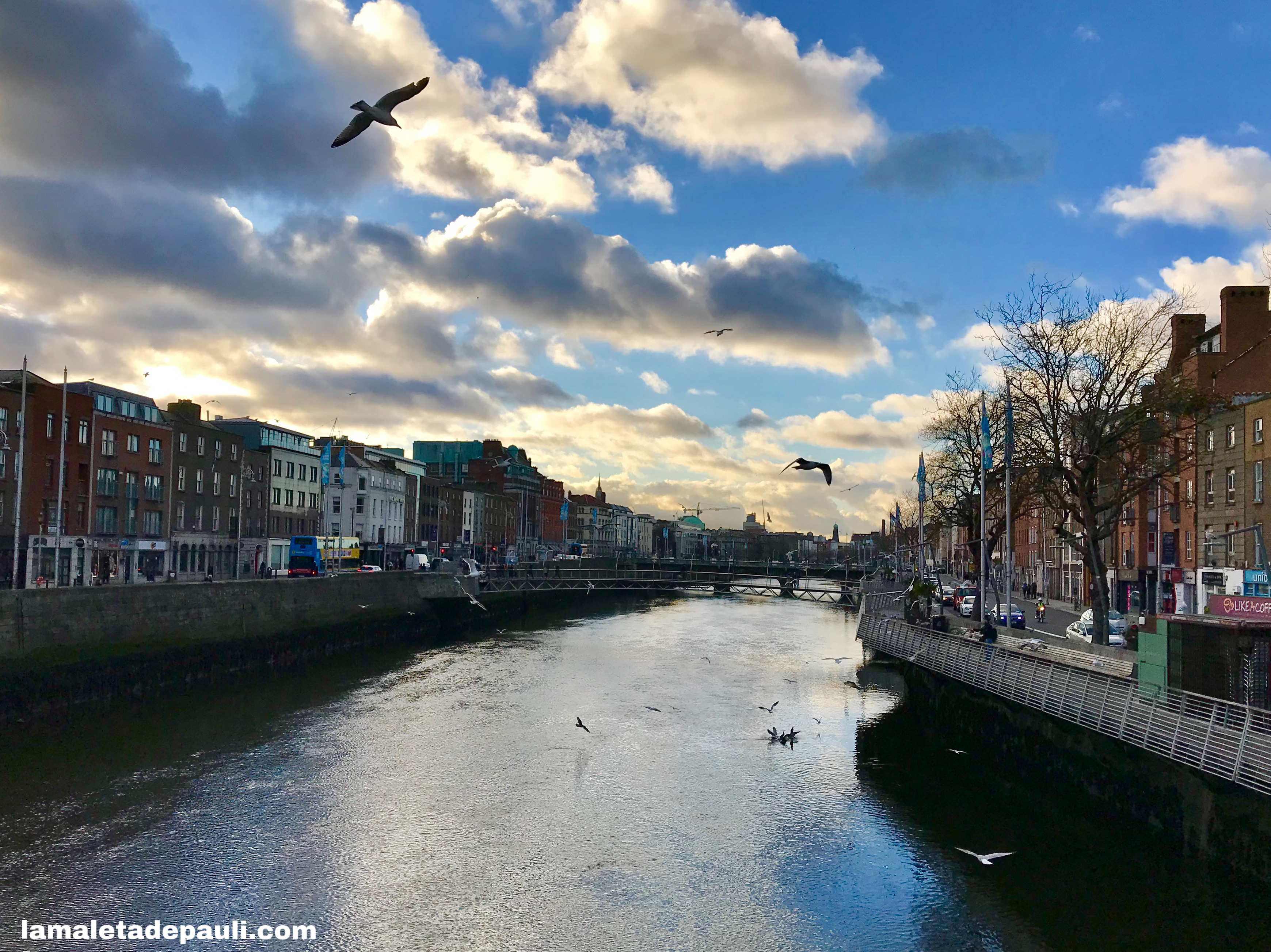 3EE6C7AD-1CA2-4919-939E-0D790A6B813D