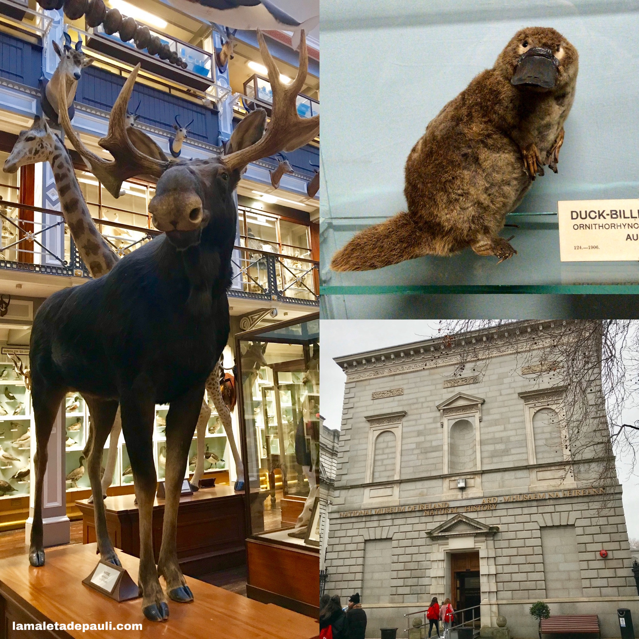 417EAA4F-D50F-4E03-99D5-2B3FCA0ABF8F