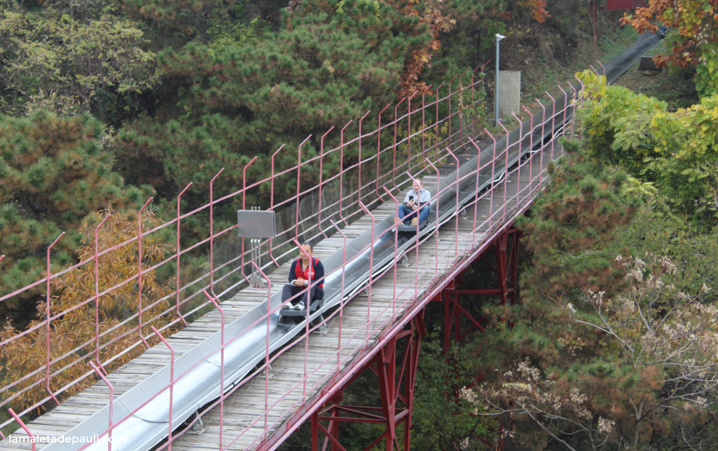 Dos personas disfrutando de un paseo en una pista de montaña, rodeadas de vegetación.